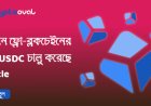 বর্তমান ফ্লো-ব্লকচেইনের জন্য USDC চালু করেছে - Circle