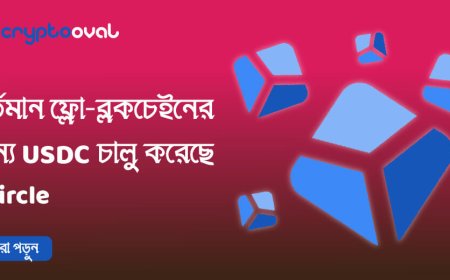 বর্তমান ফ্লো-ব্লকচেইনের জন্য USDC চালু করেছে - Circle