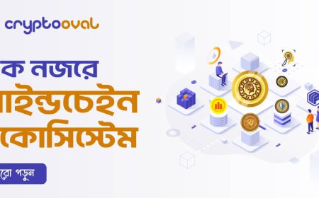 এক  নজরে মাইন্ডচেইন ইকোসিস্টেম