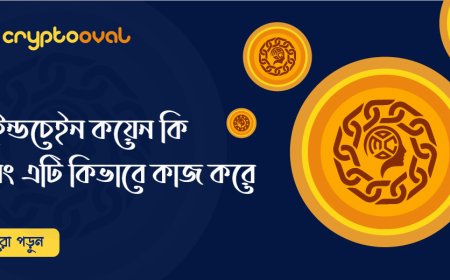 মাইন্ডচেইন কয়েন কি এবং এটি কিভাবে কাজ করে
