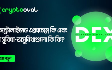 ডিসেন্ট্রালাইজড এক্সচেঞ্জ কি এবং এর সুবিধা- অসুবিধাগুলো কি কি?