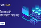 ব্লকচেইন নোড কি এবং এটি কিভাবে কাজ করে
