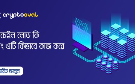 ব্লকচেইন নোড কি এবং এটি কিভাবে কাজ করে